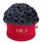  Mila-Roses-01931 Mila Classique Large Dome Burgundy - Grey
