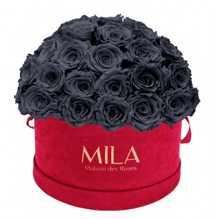 Mila Classique Large Dome Burgundy - Grey