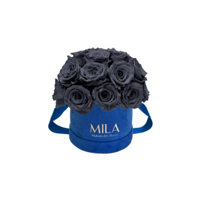 Produit Mila-Roses-01935 Mila Classique Small Dome Royal Blue Velvet Small - Grey