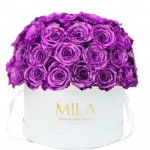  Mila-Roses-02029 Mila Classique Large Dome Blanc Classique - Metallic Pink