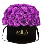  Mila-Roses-02032 Mila Classique Large Dome Noir Classique - Metallic Pink