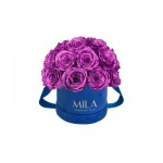  Mila-Roses-02047 Mila Classique Small Dome Royal Blue Velvet Small - Metallic Pink