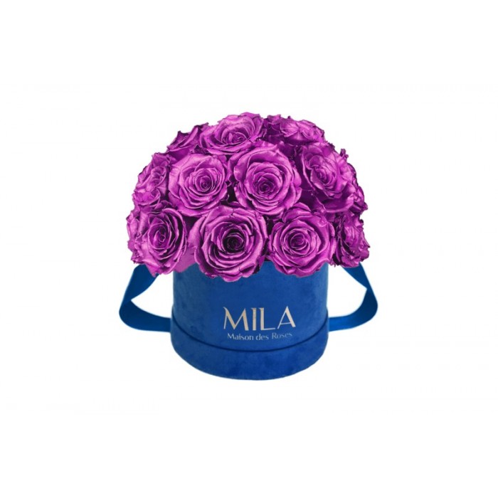 Mila Classique Small Dome Royal Blue Velvet Small - Metallic Pink
