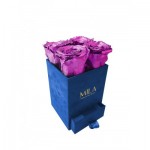  Mila-Roses-02134 Mila Velvet Mini Royal Blue Velvet Mini - Metallic Pink