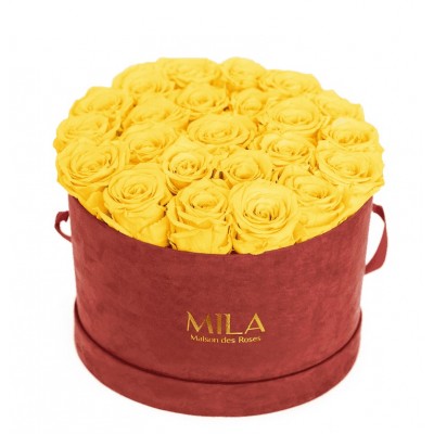 Produit Mila-Roses-02187 Mila Classique Large Burgundy Velvet Large - Yellow Sunshine