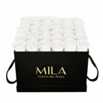  Mila-Roses-02211 Mila Classique Luxe Noir Classique - Pure White