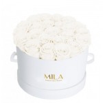 Mila-Roses-02214 Mila Classique Large Blanc Classique - Pure White