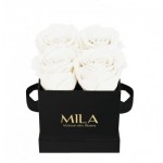  Mila-Roses-02217 Mila Classique Mini Noir Classique - Pure White
