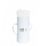  Mila-Roses-02222 Mila Classique Baby Blanc Classique - Pure White