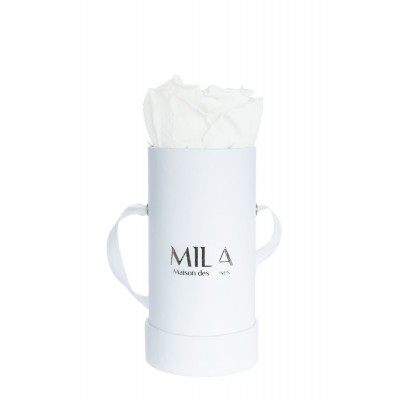 Produit Mila-Roses-02222 Mila Classique Baby Blanc Classique - Pure White