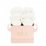  Mila-Roses-02223 Mila Classique Mini Rose Classique - Pure White