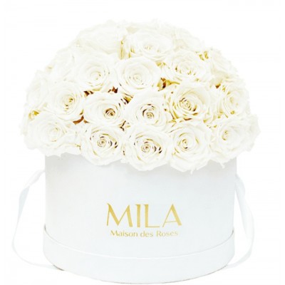 Produit Mila-Roses-02225 Mila Classique Large Dome Blanc Classique - Pure White