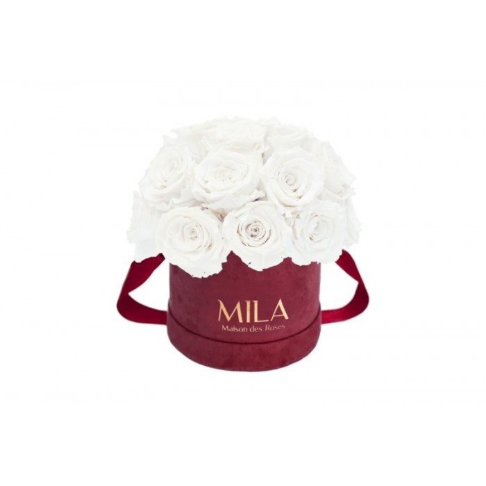 Mila Classique Small Dome Burgundy - Pure White