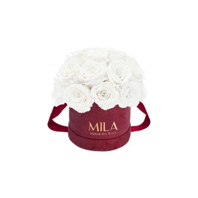 Produit Mila-Roses-02228 Mila Classique Small Dome Burgundy - Pure White