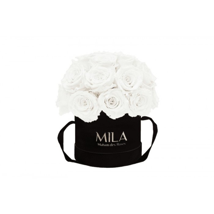 Mila Classique Small Dome Noir Classique - Pure White