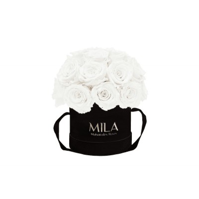 Produit Mila-Roses-02229 Mila Classique Small Dome Noir Classique - Pure White