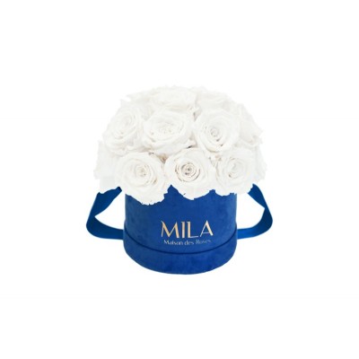 Produit Mila-Roses-02231 Mila Classique Small Dome Royal Blue Velvet Small - Pure White