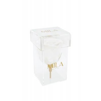 Produit Mila-Roses-02236 Mila Acrylic Single Stem - Pure White