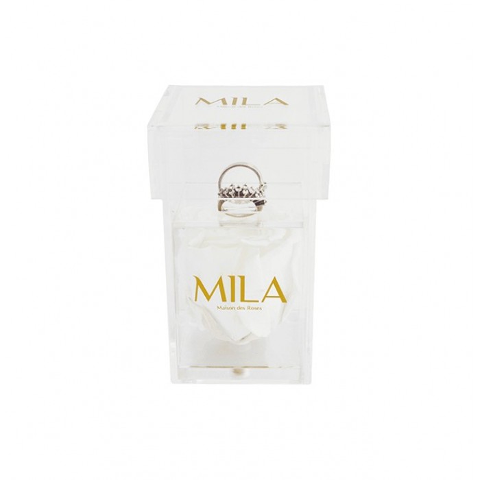 Mila Acrylic Single Ring - Pure White