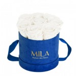  Mila-Roses-02258 Mila Velvet Small Royal Blue Velvet Small - Pure White