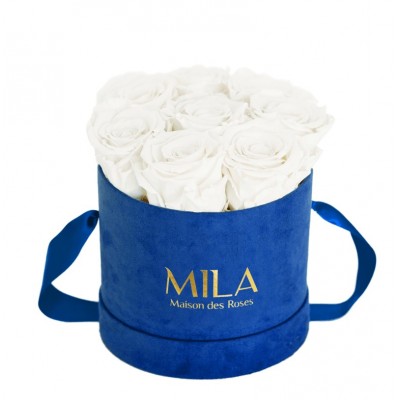 Produit Mila-Roses-02258 Mila Velvet Small Royal Blue Velvet Small - Pure White
