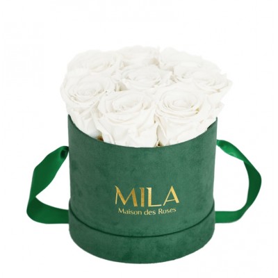 Produit Mila-Roses-02259 Mila Velvet Small Emeraude Velvet Small - Pure White