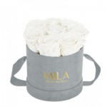  Mila-Roses-02260 Mila Velvet Small Light Grey Velvet Small - Pure White