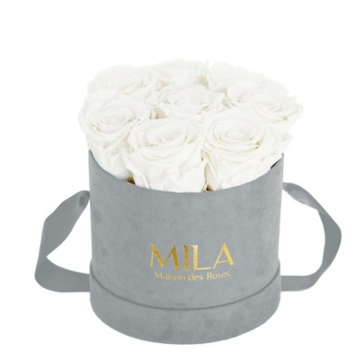 Produit Mila-Roses-02260 Mila Velvet Small Light Grey Velvet Small - Pure White