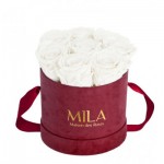  Mila-Roses-02261 Mila Velvet Small Burgundy Velvet Small - Pure White