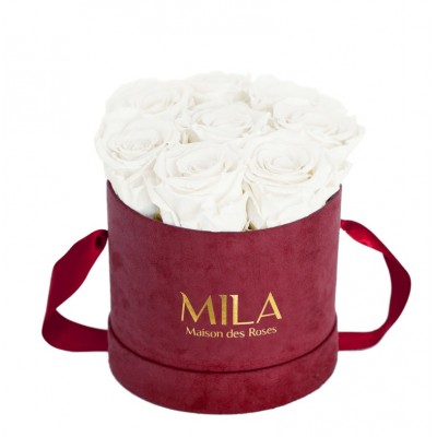 Produit Mila-Roses-02261 Mila Velvet Small Burgundy Velvet Small - Pure White