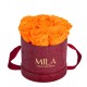 Mila Velvet Small Burgundy Velvet Small - Orange Bloom