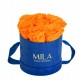 Mila Velvet Small Royal Blue Velvet Small - Orange Bloom